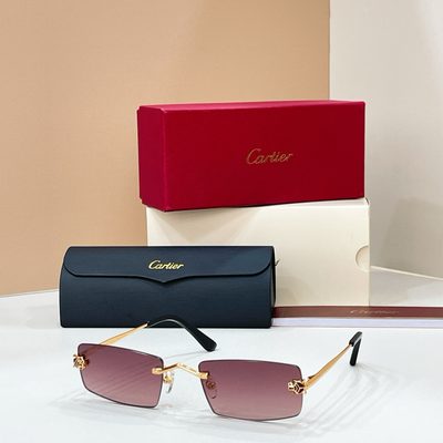 Cartier Sunglasses — 5