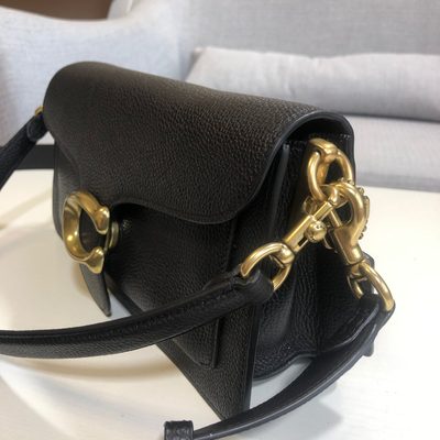 Coach Bag — 4
