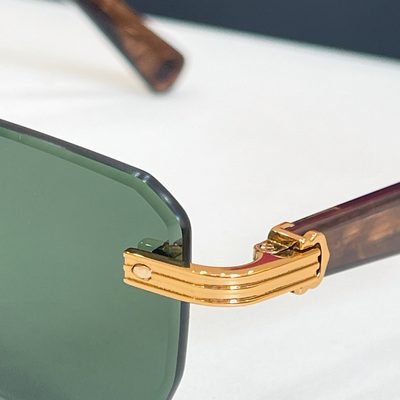 Cartier Sunglasses — 8