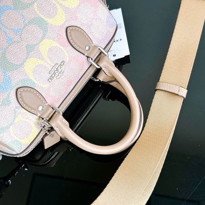 Coach Bag — 4