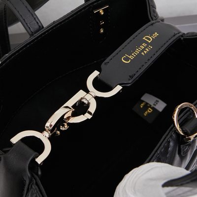 Dior Bag — 8