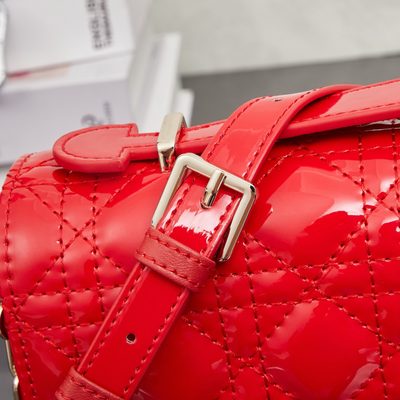 Dior Bag — 7