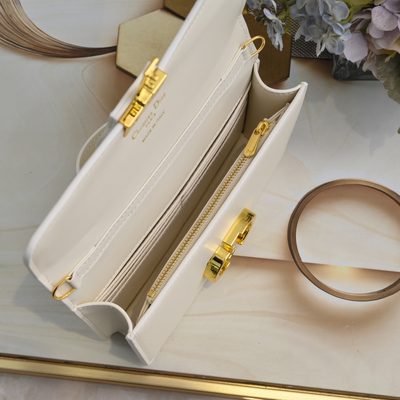 Dior Bag — 9