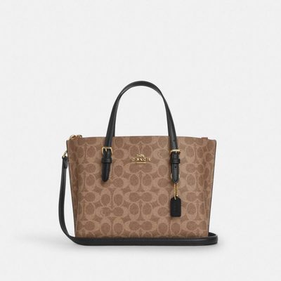 Coach Bag — 5