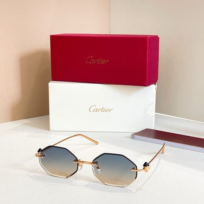 Cartier Sunglasses — 6