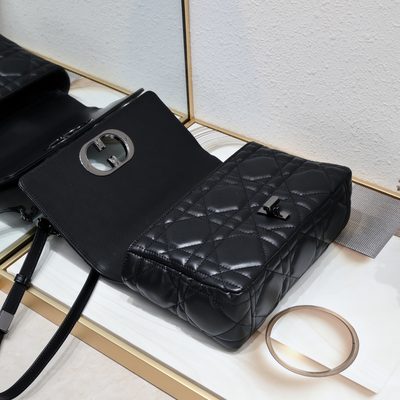Dior Bag — 6