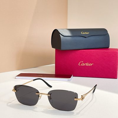 Cartier Sunglasses — 8