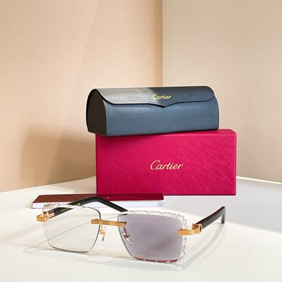 Cartier Sunglasses — 7