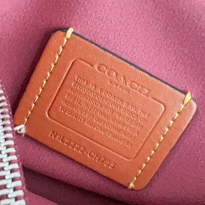 Coach Bag — 25