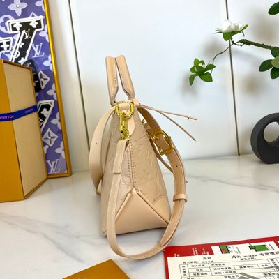 Louis Vuitton Bag — 5