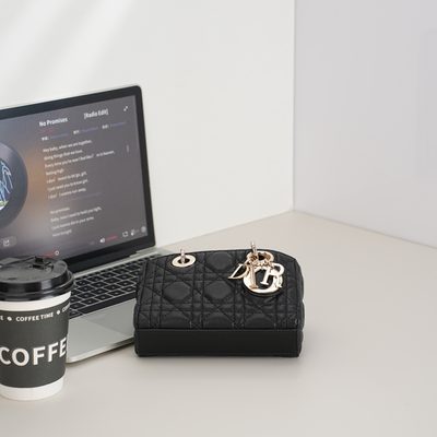 Dior Bag — 7