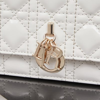 Dior Bag — 5