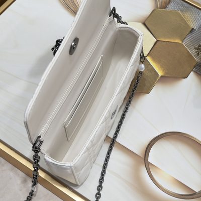 Dior Bag — 8