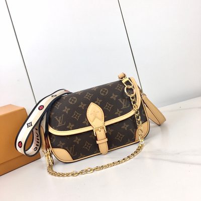 Louis Vuitton Bag — 3