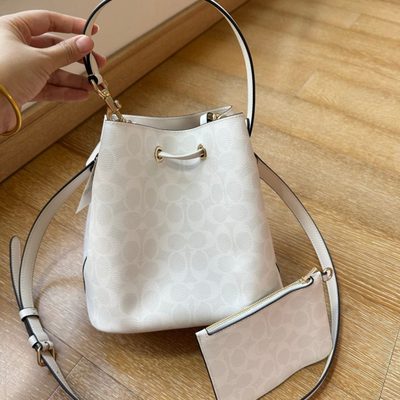 Coach Bag — 7