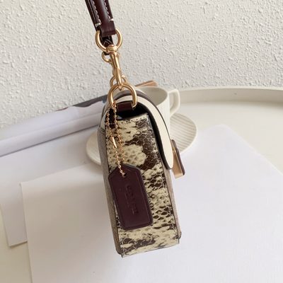 Coach Bag — 3