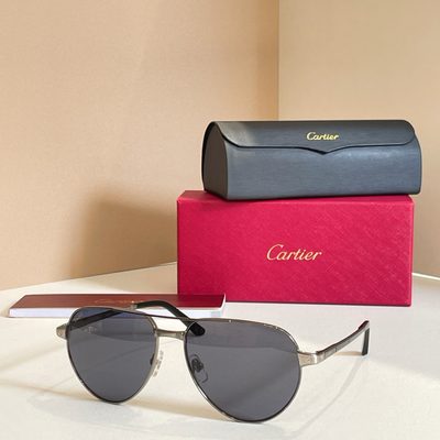 Cartier Sunglasses — 7