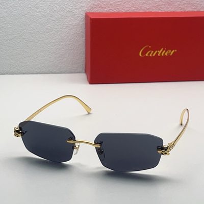 Cartier Sunglasses — 3