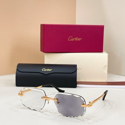 Cartier sunglasses — 8