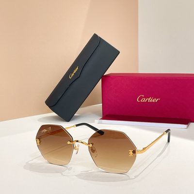 Cartier Sunglasses — 7