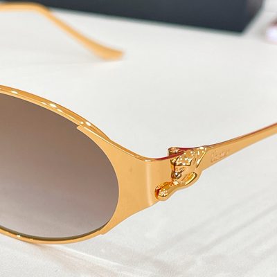 Cartier Sunglasses — 8
