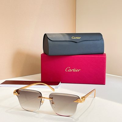 Cartier Sunglasses — 8
