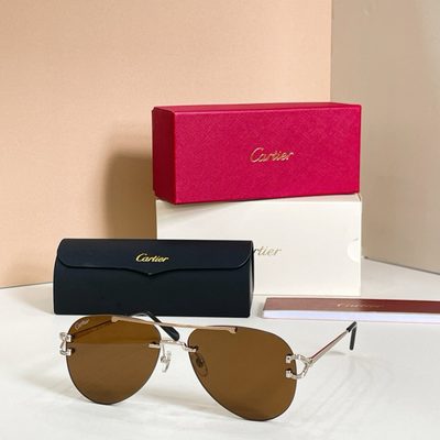 Cartier Sunglasses — 6