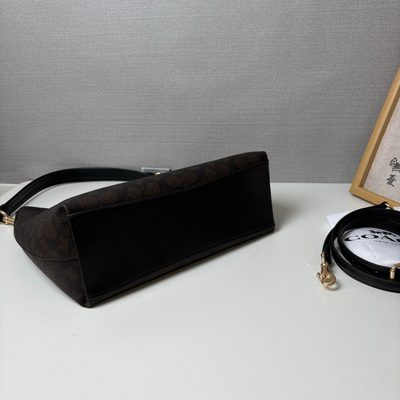Coach Bag — 5