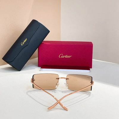 Cartier Sunglasses — 4
