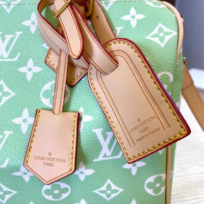 Louis Vuitton Bag — 6