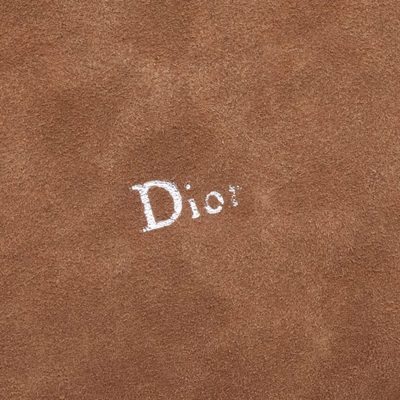 Dior Bag — 4