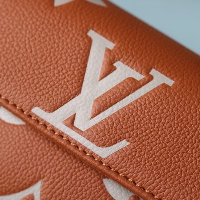 Louis Vuitton Bag — 5