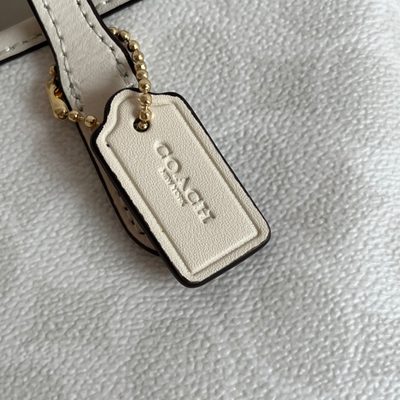 Coach Bag — 6