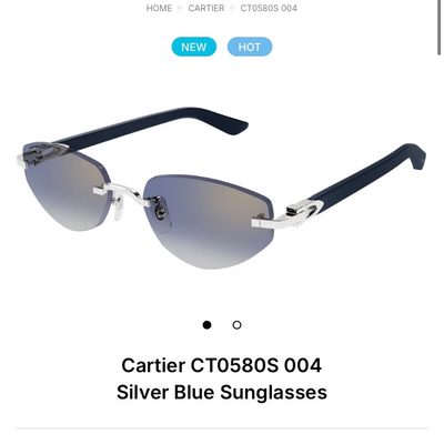 Cartier Sunglasses — 7