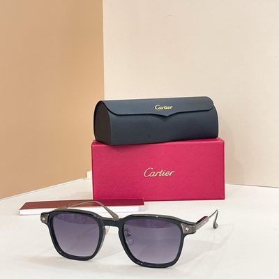 Cartier Sunglasses — 4