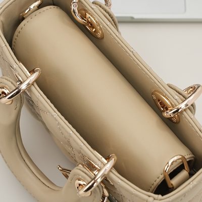 Dior Bag — 7