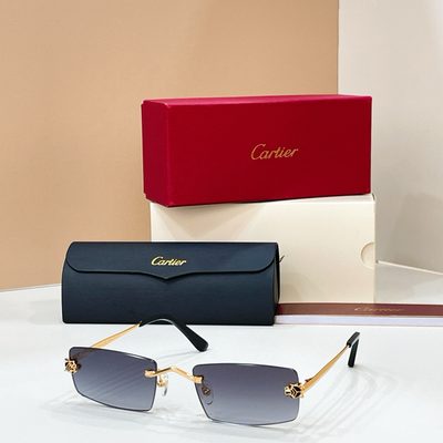 Cartier Sunglasses — 4