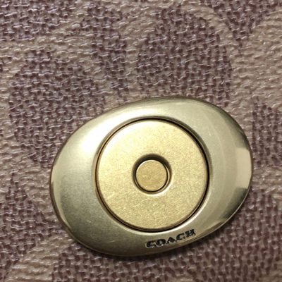 Coach Bag — 6