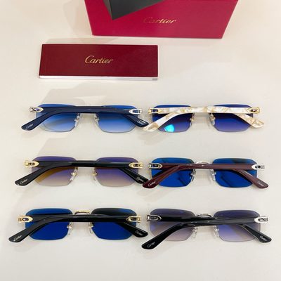Cartier Sunglasses — 9