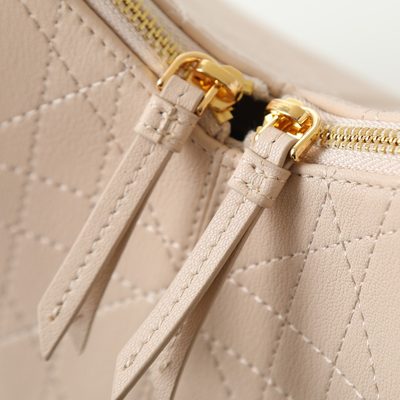 Dior Bag — 7