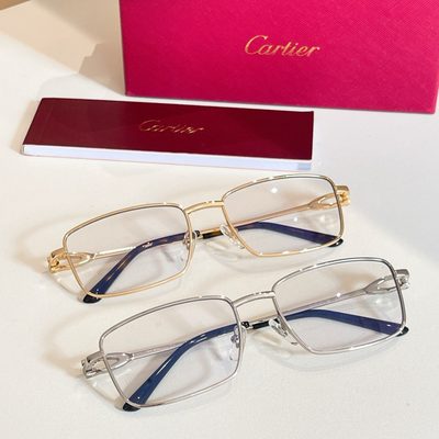 Cartier Sunglasses — 8