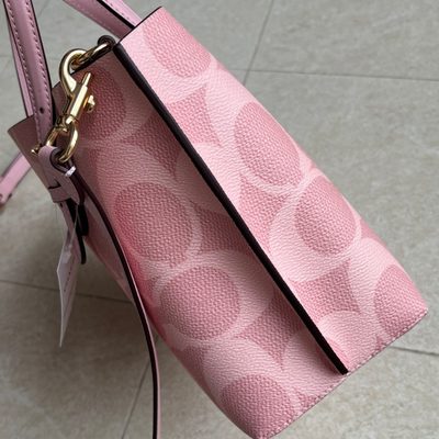 Coach Bag — 4