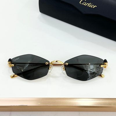 Cartier Sunglasses — 6