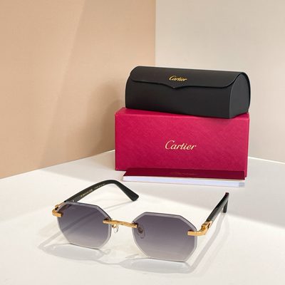 Cartier Sunglasses — 5