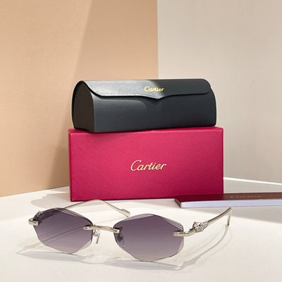 Cartier Sunglasses — 4