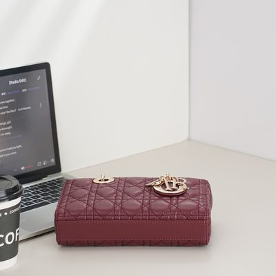 Dior Bag — 7