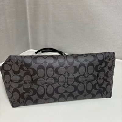 Coach Bag — 5