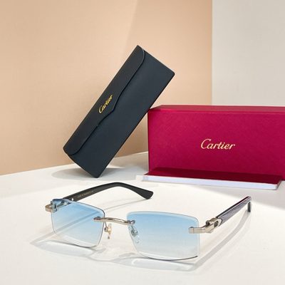 Cartier Sunglasses — 4