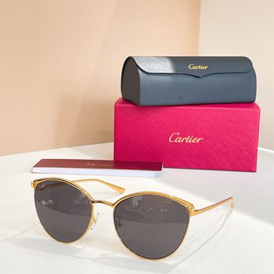Cartier Sunglasses — 5