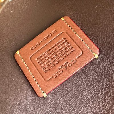 Coach Bag — 9
